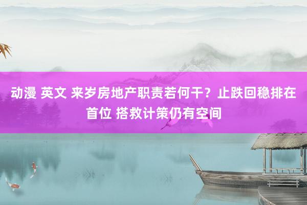 动漫 英文 来岁房地产职责若何干？止跌回稳排在首位 搭救计策仍有空间