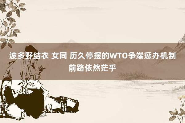 波多野结衣 女同 历久停摆的WTO争端惩办机制前路依然茫乎