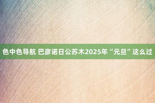 色中色导航 巴彦诺日公苏木2025年“元旦”这么过