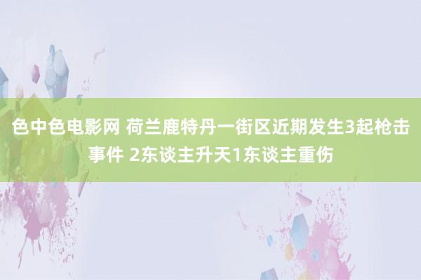 色中色电影网 荷兰鹿特丹一街区近期发生3起枪击事件 2东谈主升天1东谈主重伤