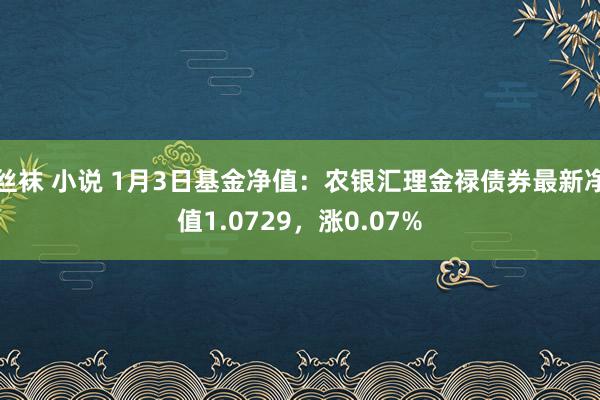 丝袜 小说 1月3日基金净值：农银汇理金禄债券最新净值1.0729，涨0.07%