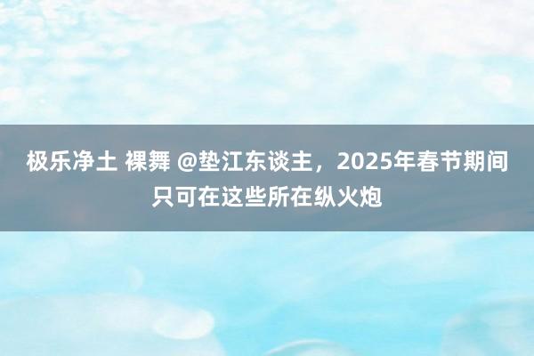 极乐净土 裸舞 @垫江东谈主，2025年春节期间只可在这些所在纵火炮