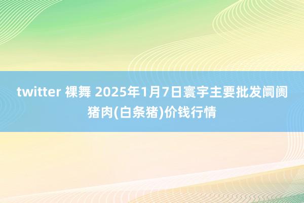 twitter 裸舞 2025年1月7日寰宇主要批发阛阓猪肉(白条猪)价钱行情